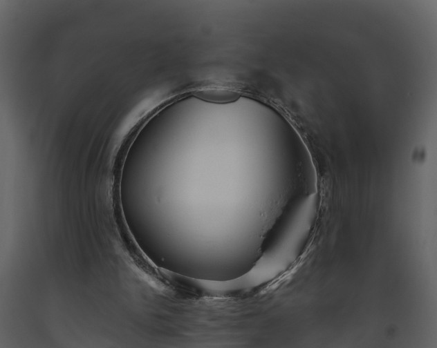 X0000093450150200710191110