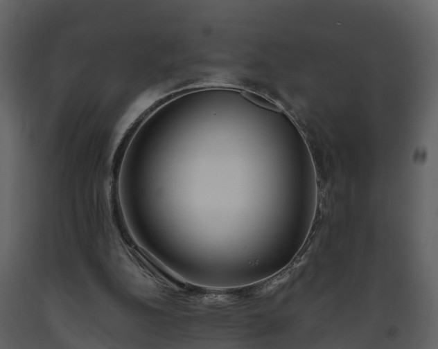 X0000093450152200710191110