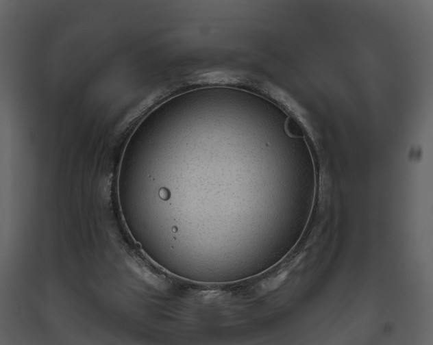 X0000093450153200710191110