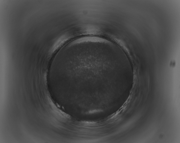 X0000093450154200710191110