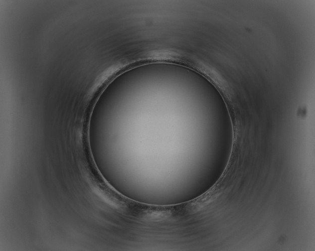 X0000093450155200710191110