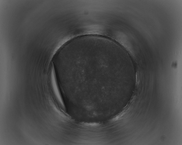 X0000093450156200710191110