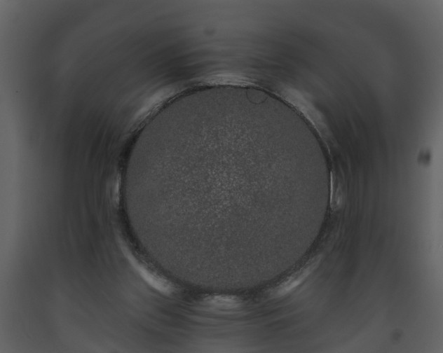 X0000093450157200710191110