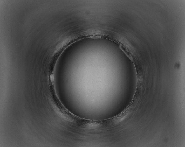 X0000093450158200710191110