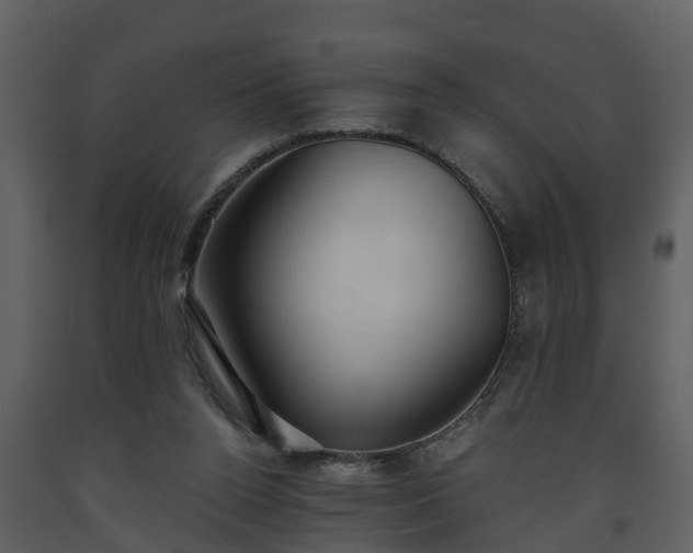 X0000093450160200710191110