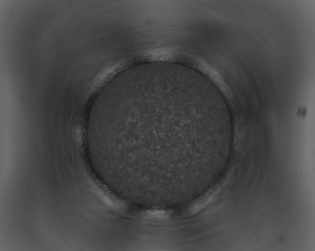 X0000093450161200710191110