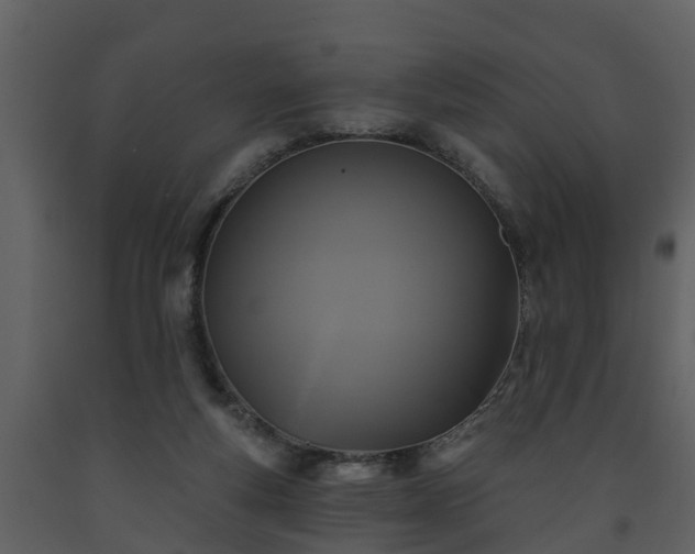 X0000093450163200710191110