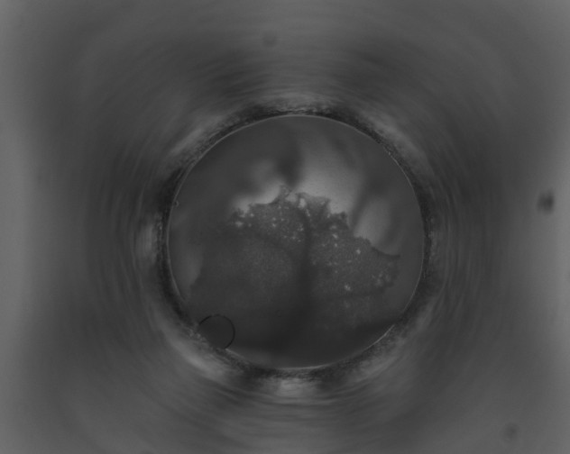 X0000093450165200710191111