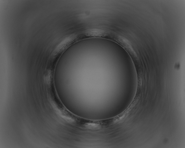 X0000093450167200710191111