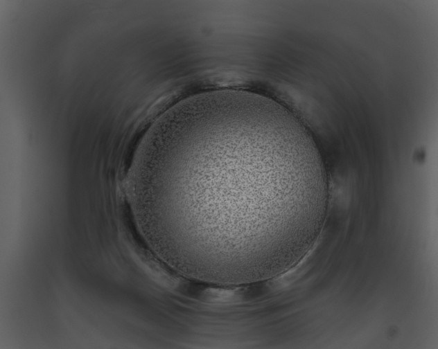 X0000093450170200710191111