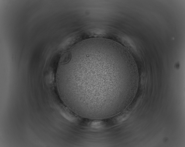 X0000093450173200710191111