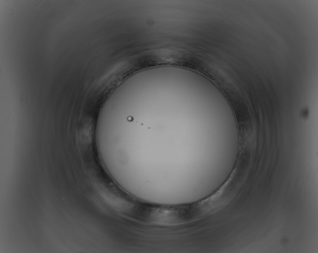 X0000093450174200710191111