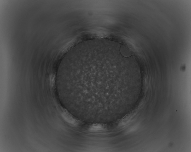 X0000093450177200710191111