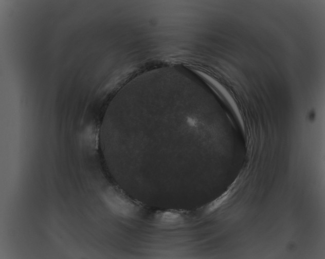 X0000093450180200710191111