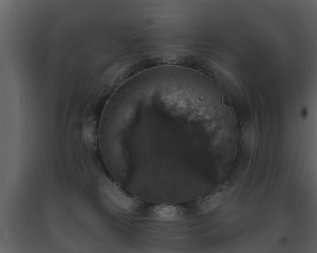 X0000093450181200710191111