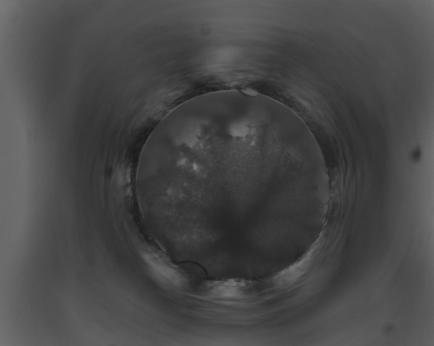 X0000093450182200710191111