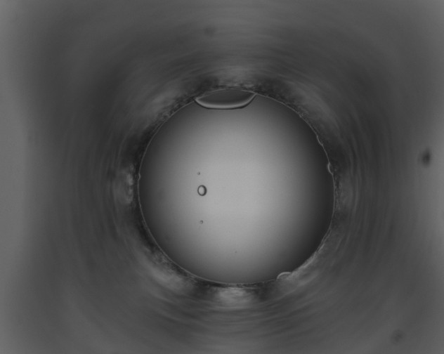 X0000093450183200710191111