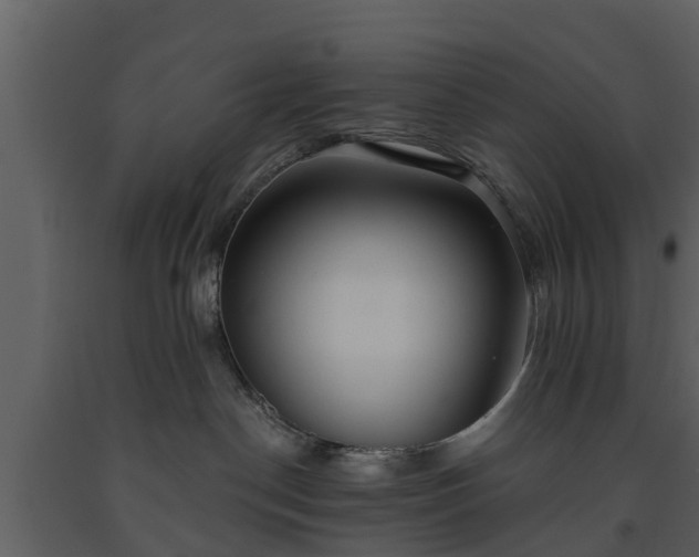 X0000093450190200710191111