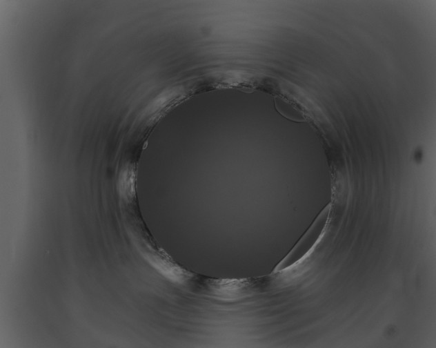 X0000093450191200710191111