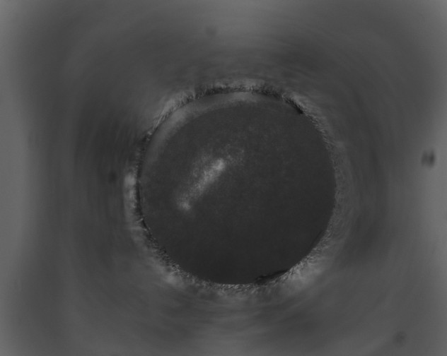 X0000093450192200710191111