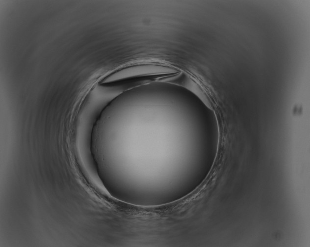 X0000093450193200710191110