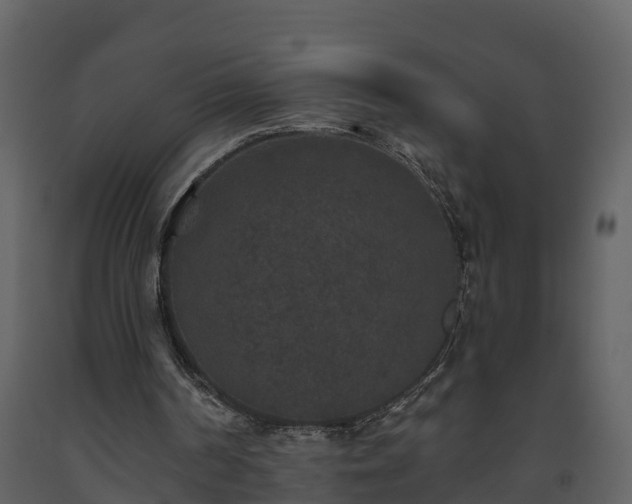 X0000093450194200710191110