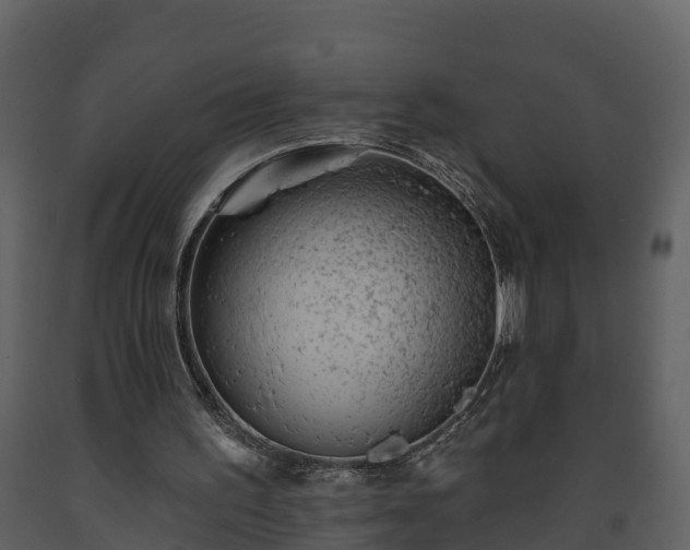 X0000093450195200710191110