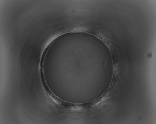 X0000093450196200710191110