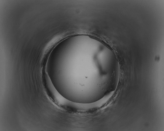 X0000093450197200710191110