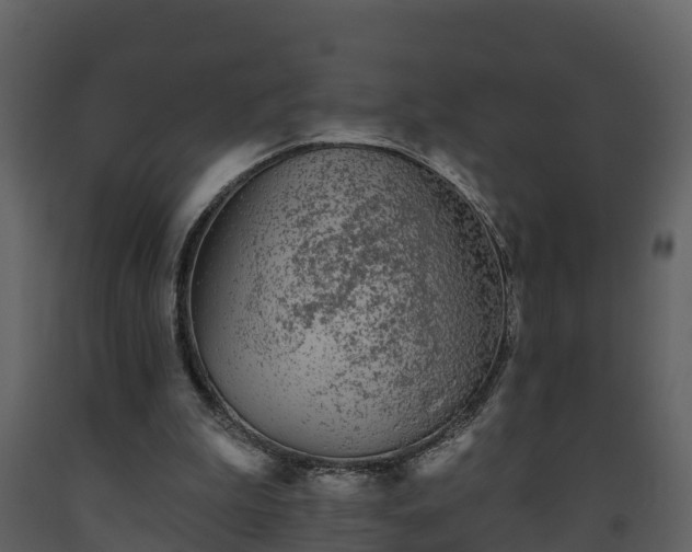 X0000093450199200710191110