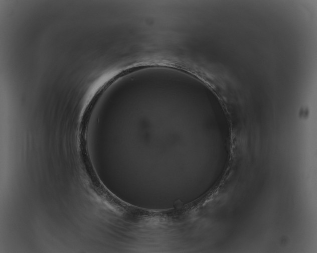 X0000093450200200710191110