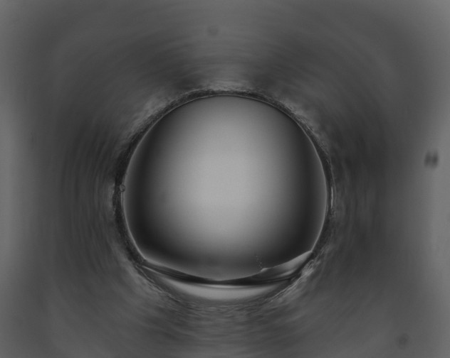 X0000093450201200710191110