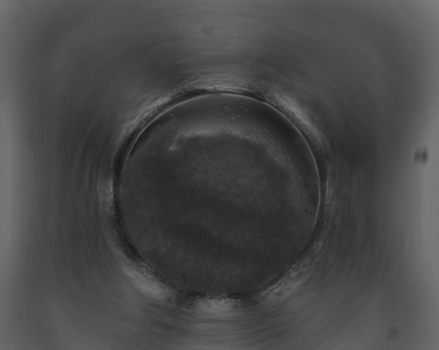 X0000093450202200710191110