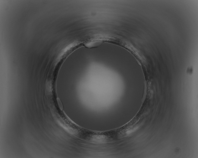 X0000093450203200710191110