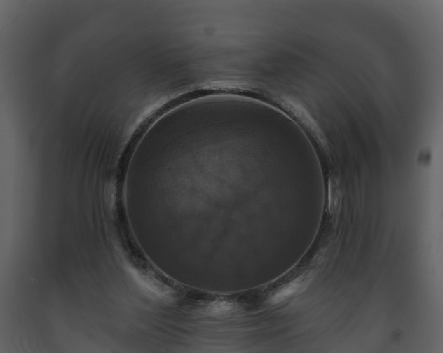 X0000093450204200710191110