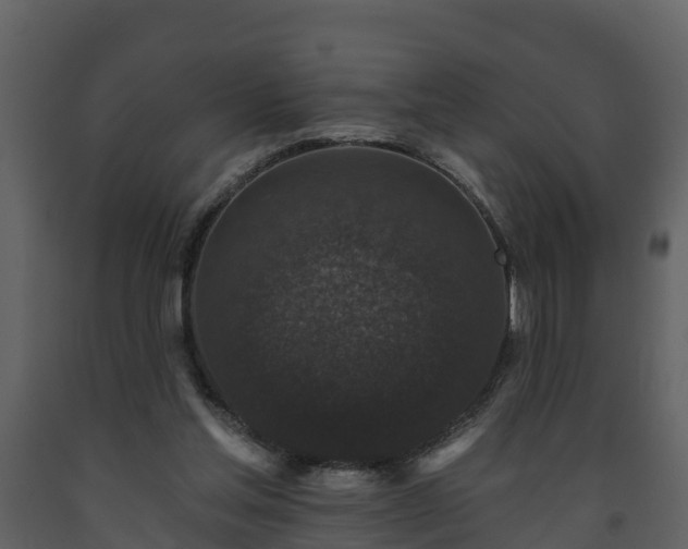 X0000093450205200710191110