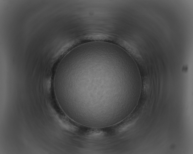 X0000093450206200710191110