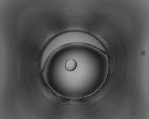 X0000093450207200710191110