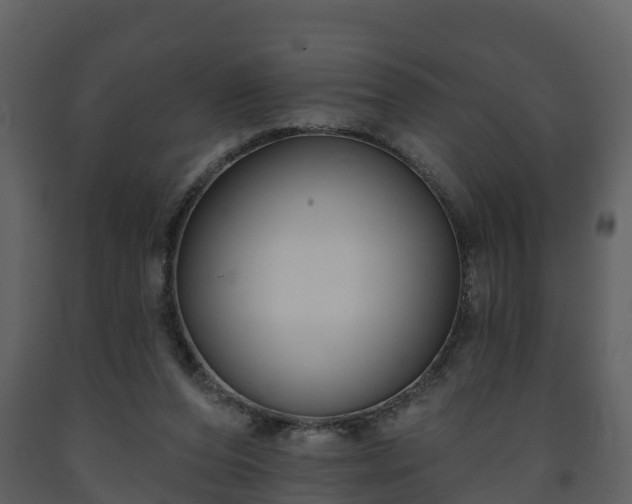 X0000093450208200710191110