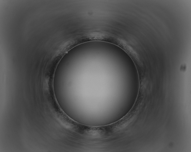 X0000093450209200710191110