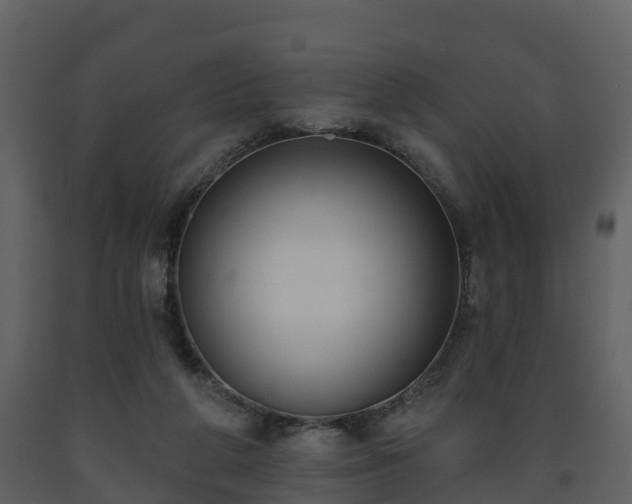 X0000093450210200710191110