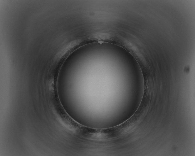 X0000093450212200710191110