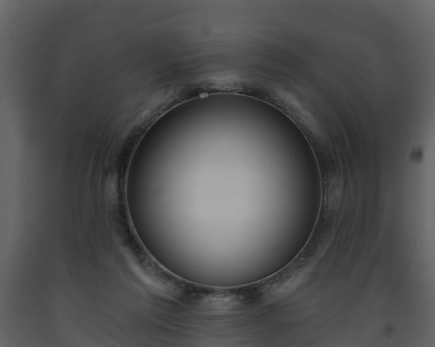 X0000093450213200710191110