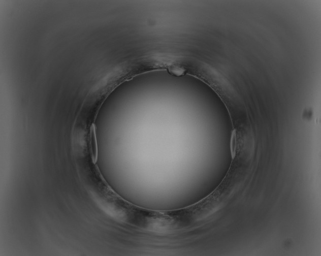 X0000093450215200710191110