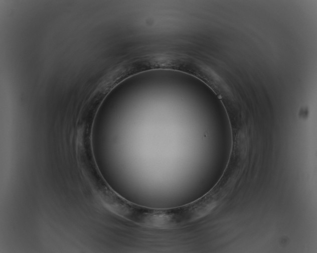 X0000093450217200710191110