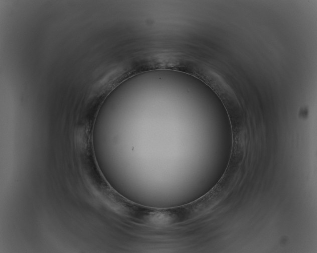 X0000093450218200710191110