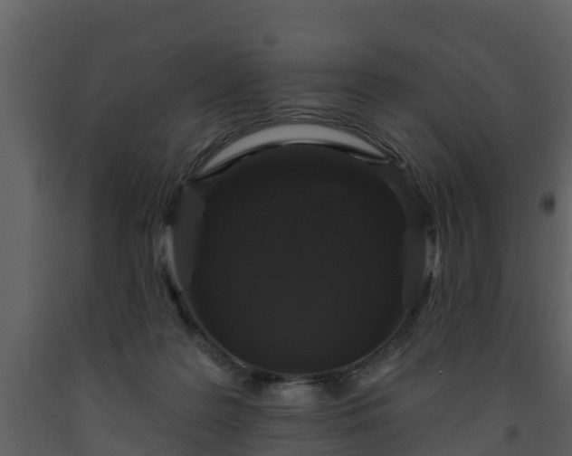 X0000093450219200710191110