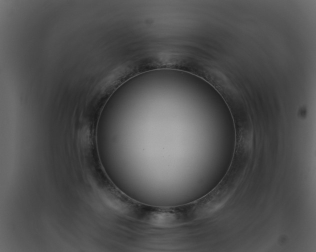 X0000093450220200710191110