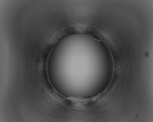 X0000093450221200710191110