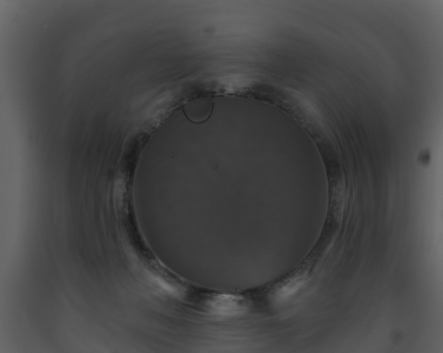 X0000093450222200710191110